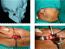 Picture3.gif